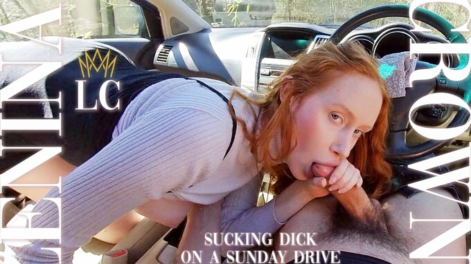 Sucking Dick on a Sunday Drive